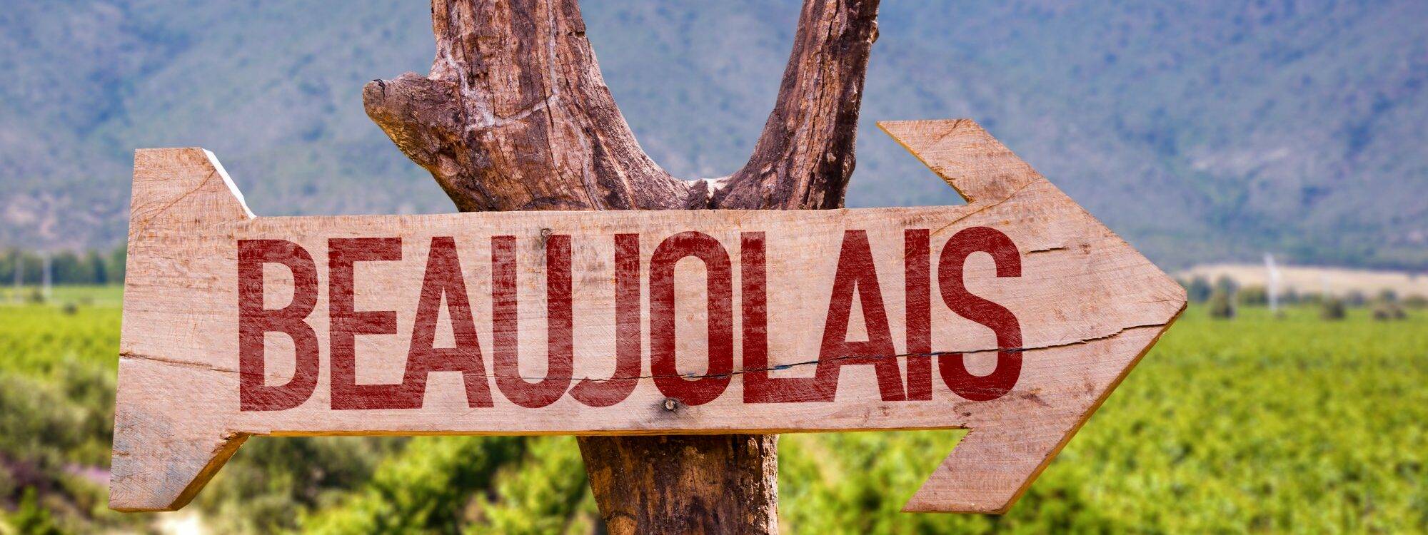 Vins du Beaujolais Cernay